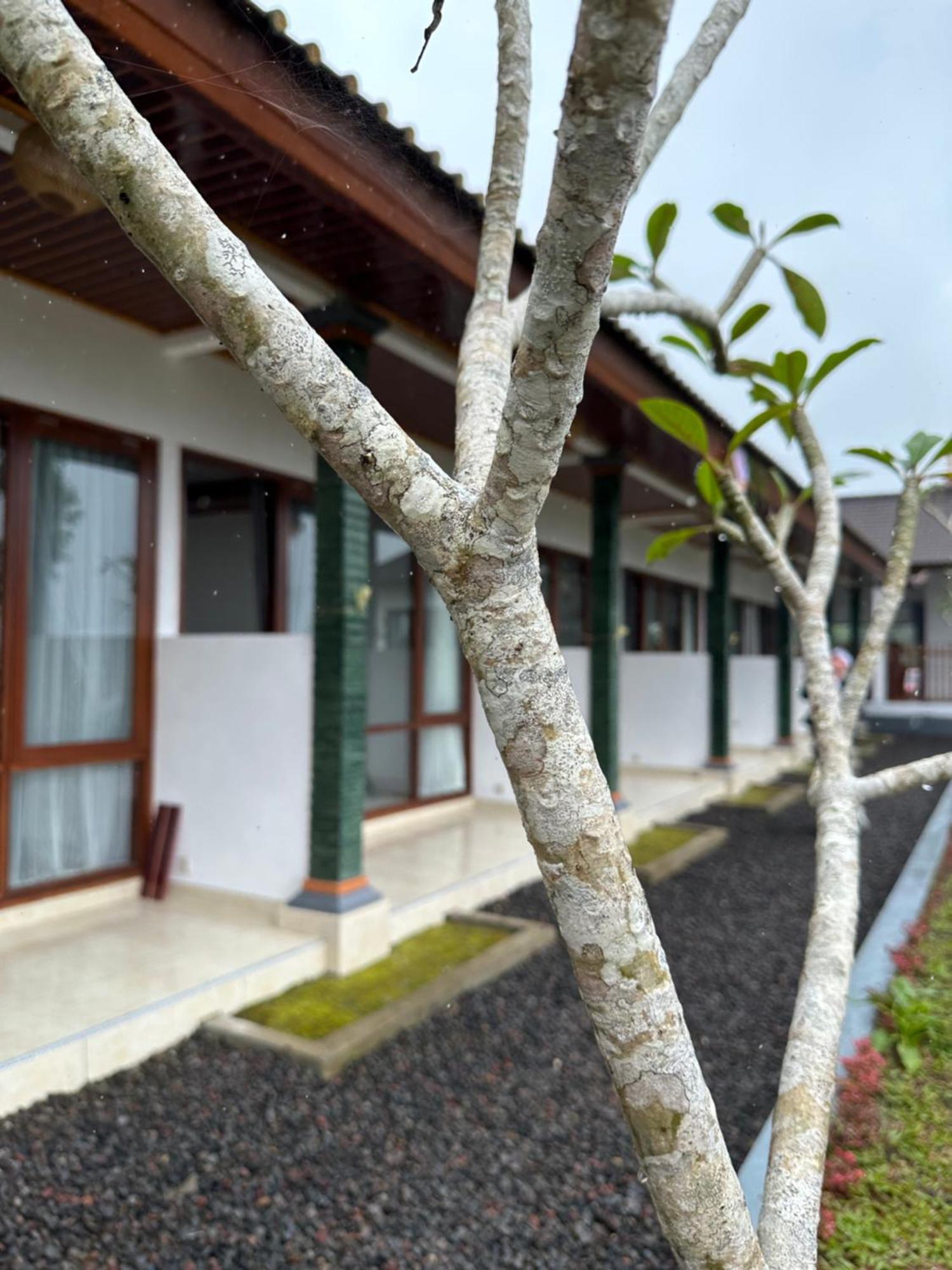 Bali Basuki Retreat Center Apartment Besakih Exterior foto